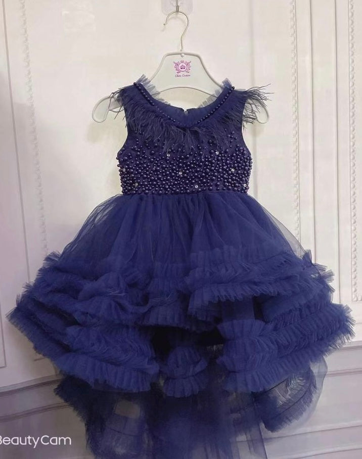 Elegant Net Tail  Frock
