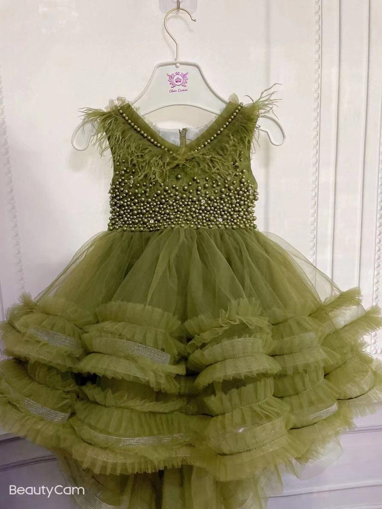 Elegant Net Tail  Frock